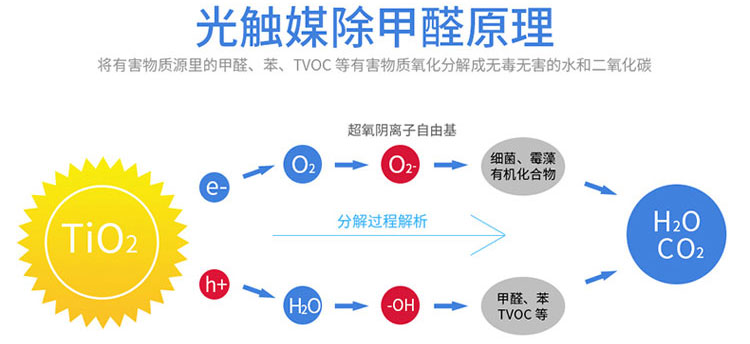 广州除甲醛公司