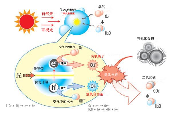 广州除甲醛公司