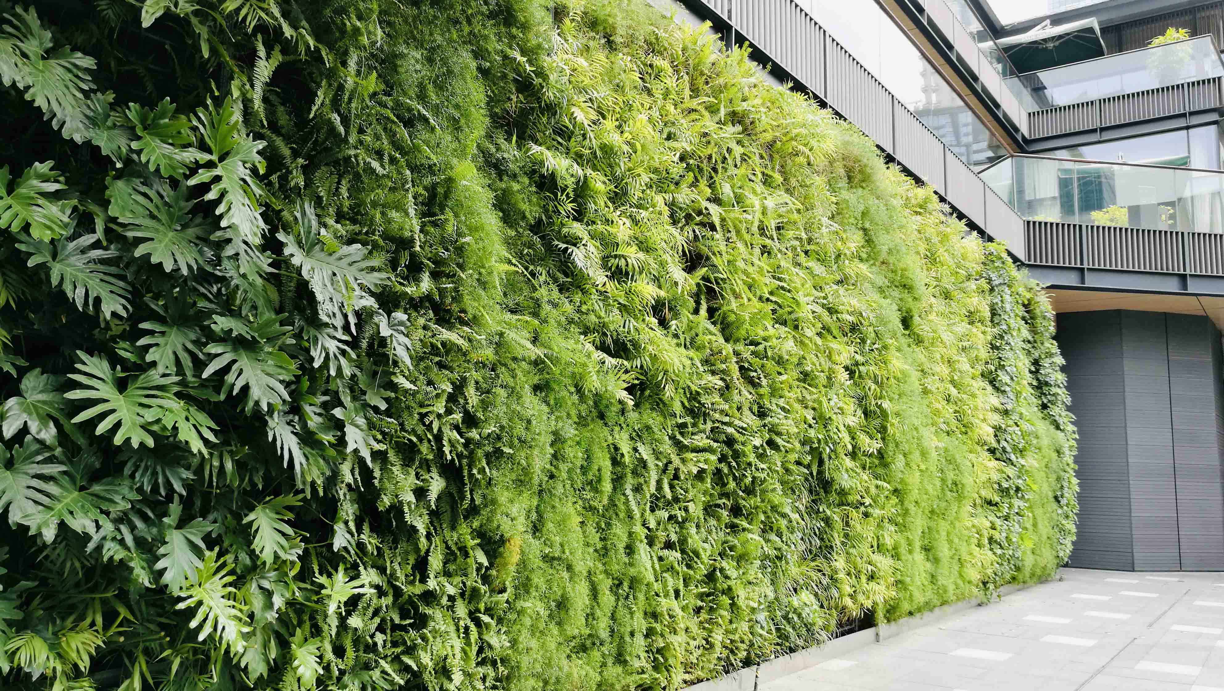 立面绿化仿真植物墙