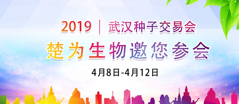 2019年武汉种子交易会甘蓝产业论坛精彩回顾！