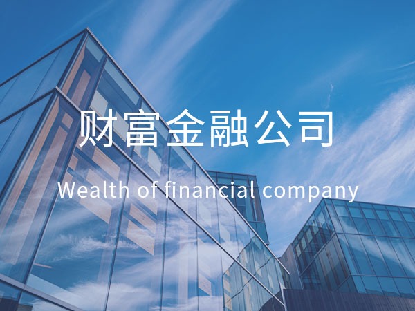 某某财富金融公司