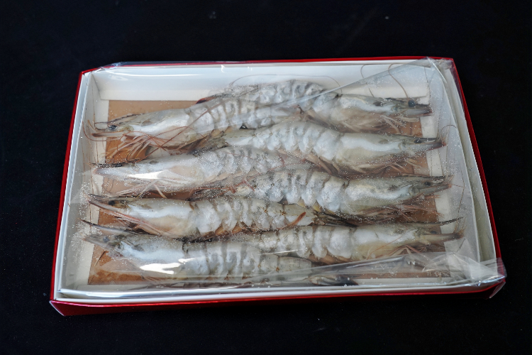 东方虾8条