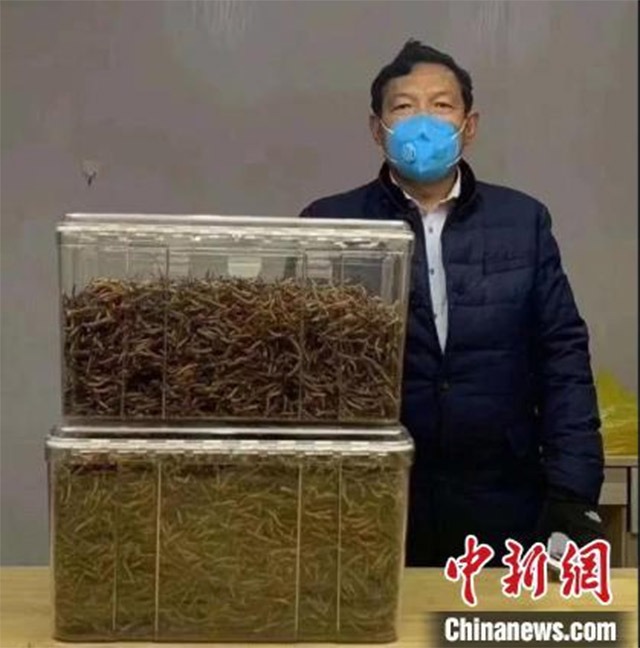 青海民间向一线医务工作者捐赠冬虫夏草