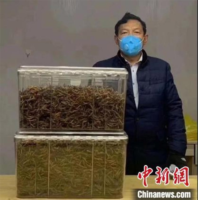未标题666-2