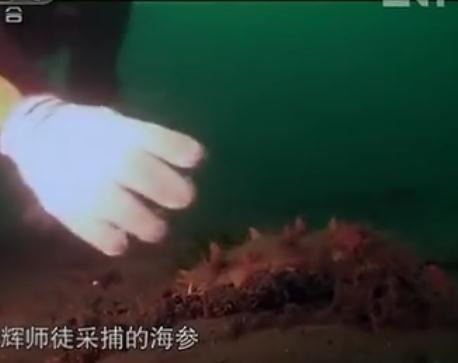 微信截图_20200219083845