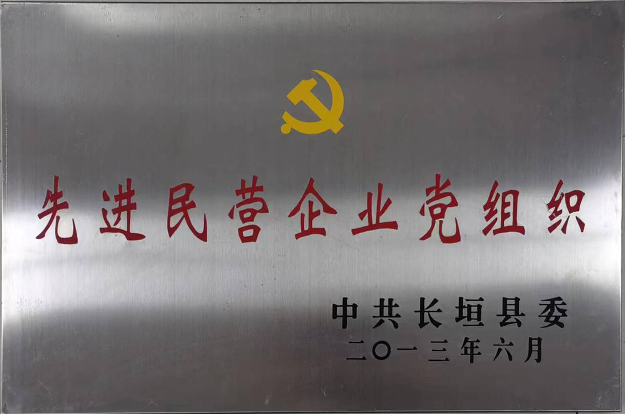 先进民营企业党组织