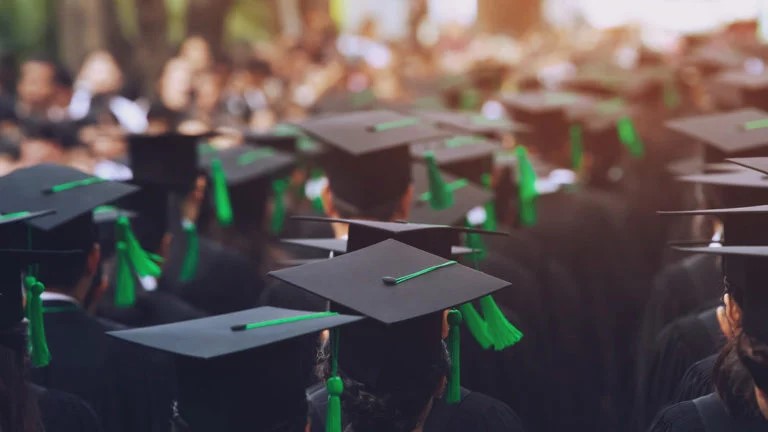 Higher Education
