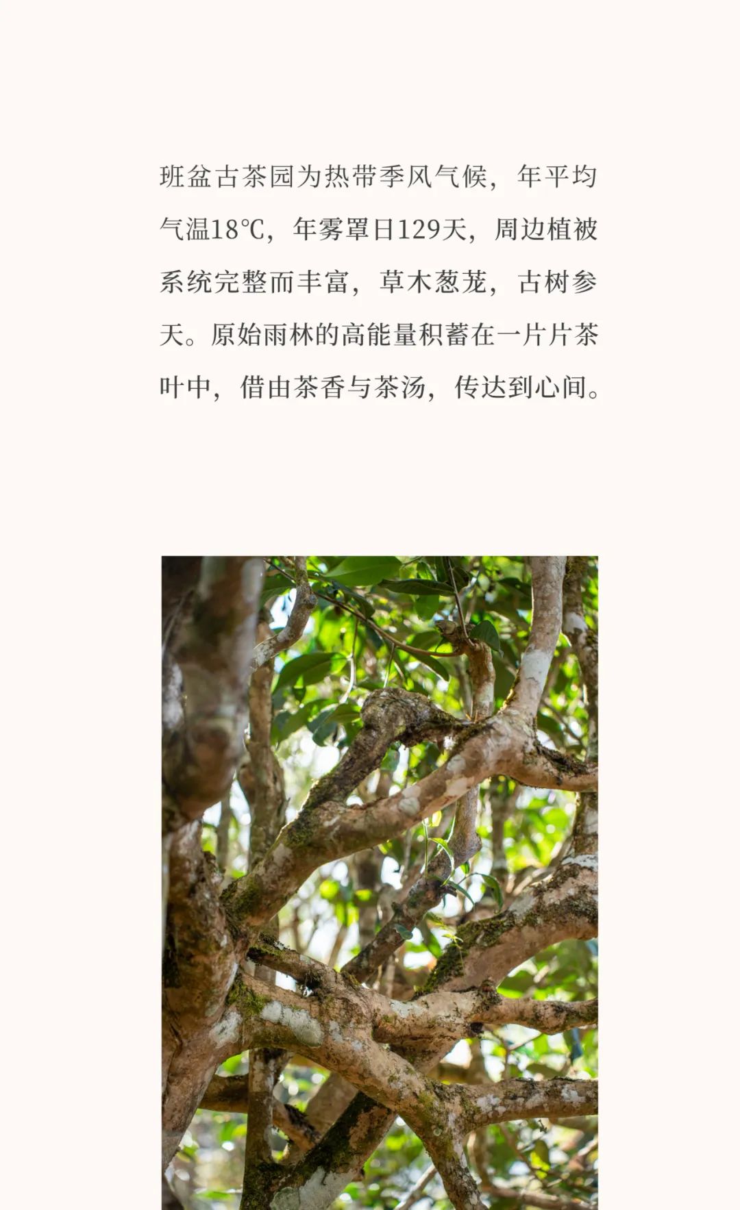 707311bf4dcf74a34c065235a73e5ff3