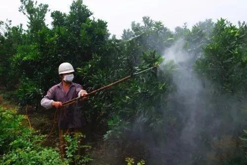 绿化用药:园林农药混用导致药效全无