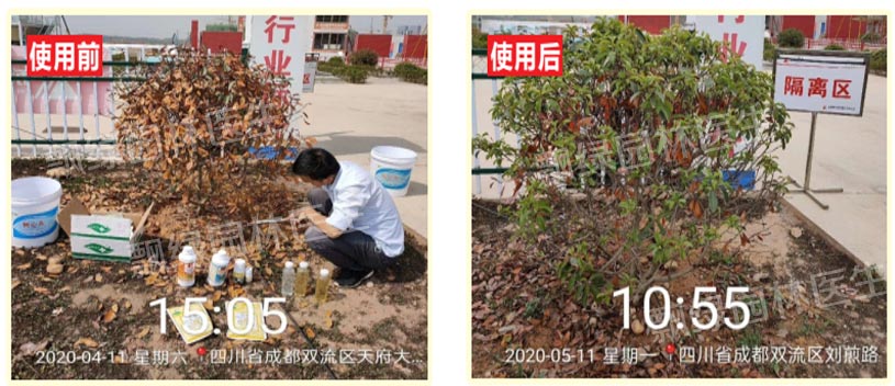 案列10