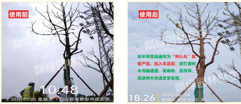案列09