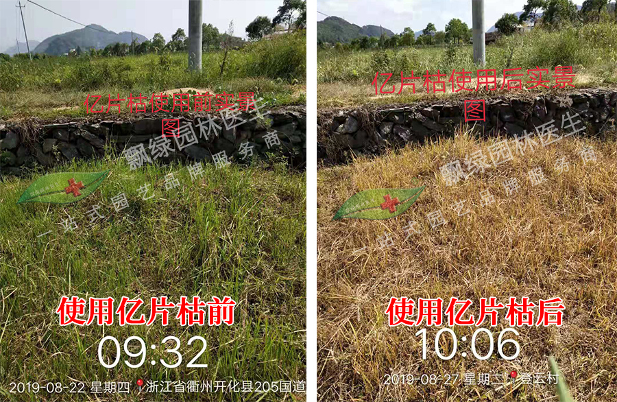 林地荒地杂草防除【案例】
