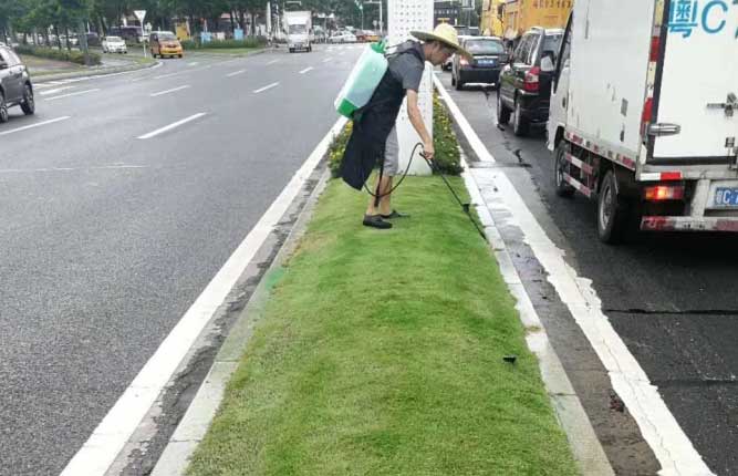 冬季草坪养护关键！冬季草坪养护方法！！！