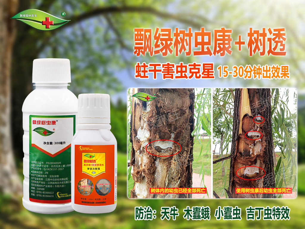 蛀干害虫防治最好的药物树虫康+树透4