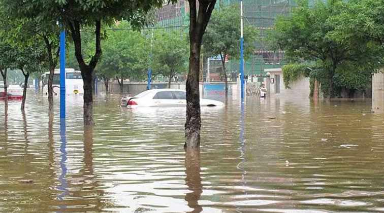 暴雨过后园林植物急救措施