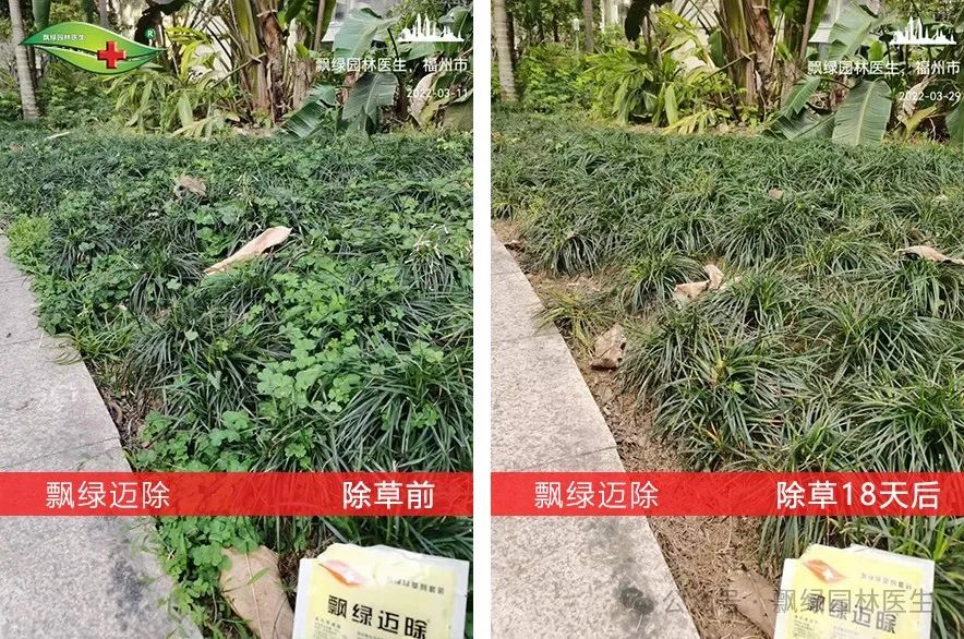 除草剂效果