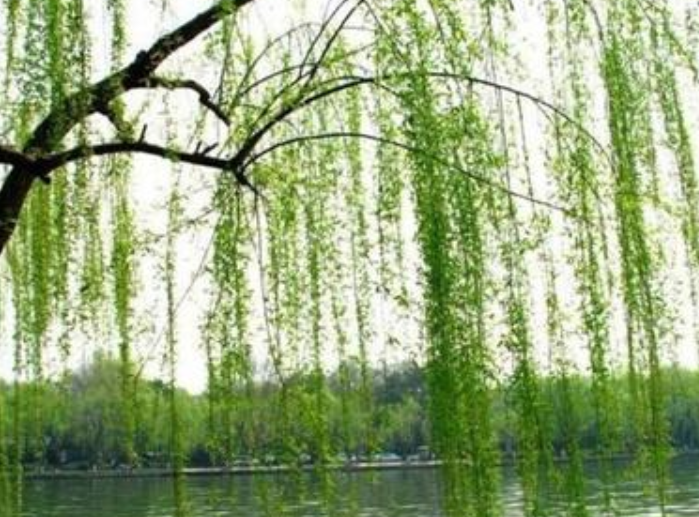 微信截图_20210507184111