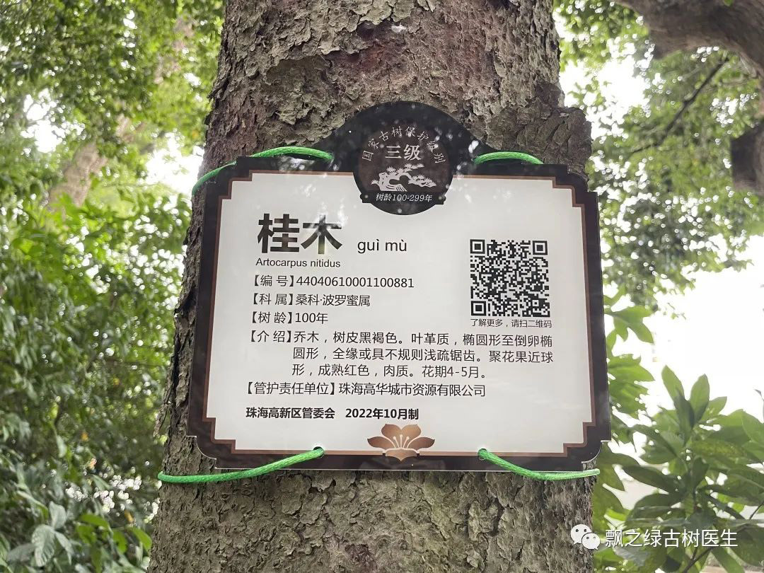 名木古树保护