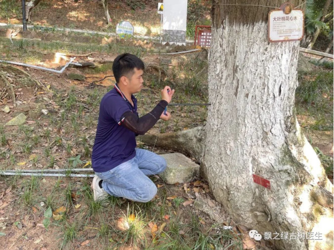 名木古树保护