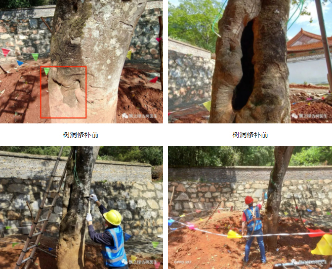 修建支撑 修建支撑