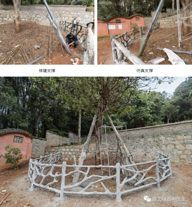 修建支撑 修建支撑