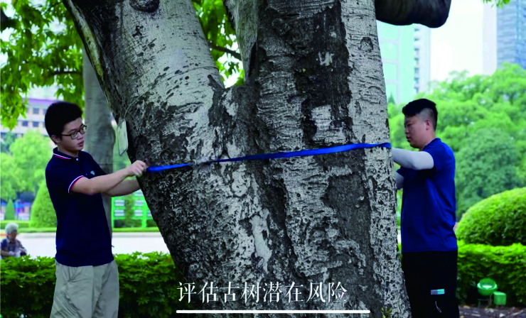 41-60頁_20250709_17520441385289910