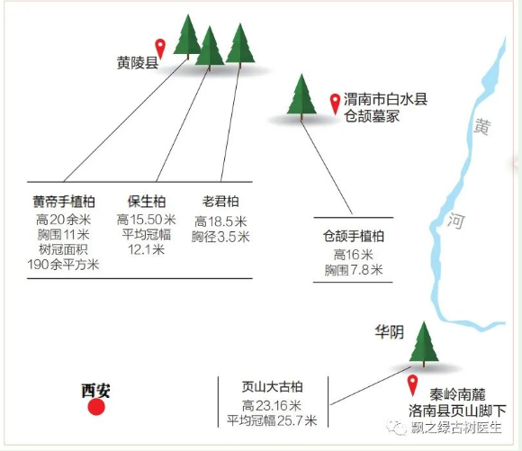 古树分布