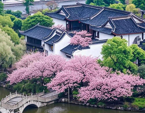 来和桃花坞相约一场浪漫女神节吧！