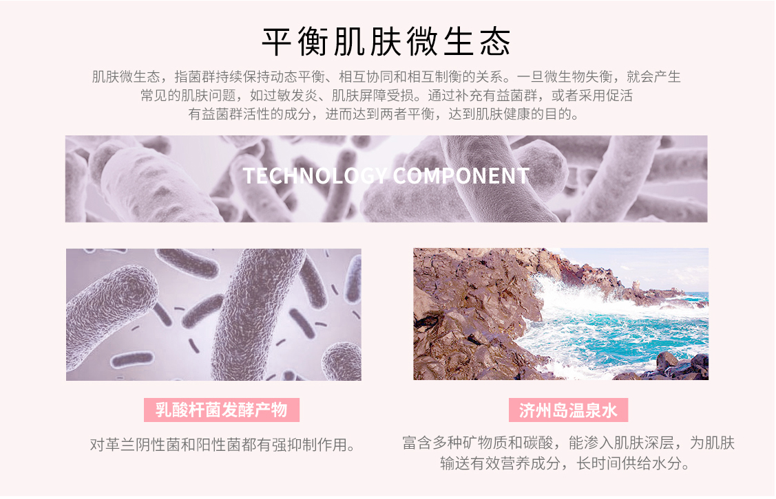描述