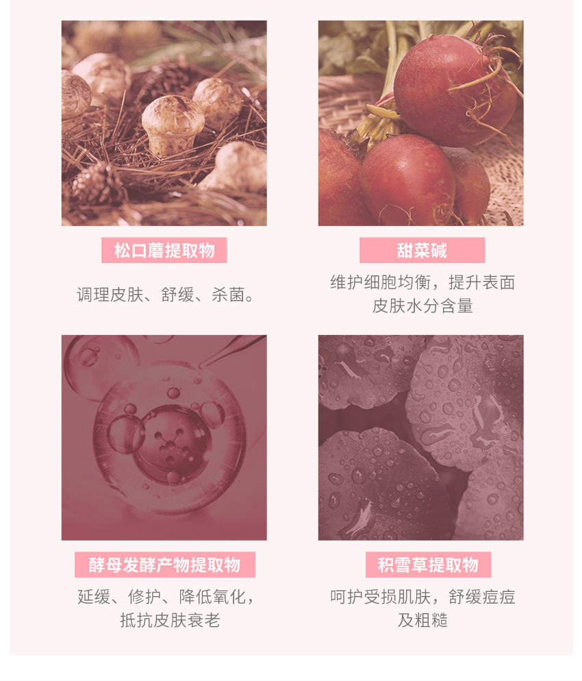 描述