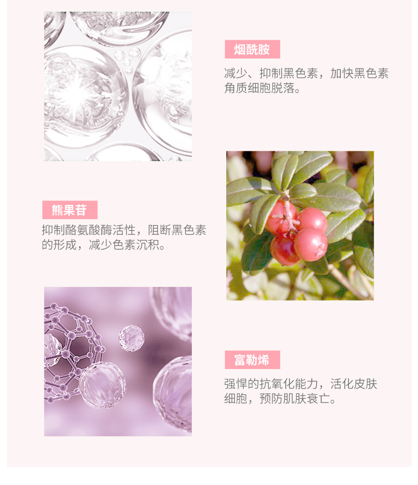 描述