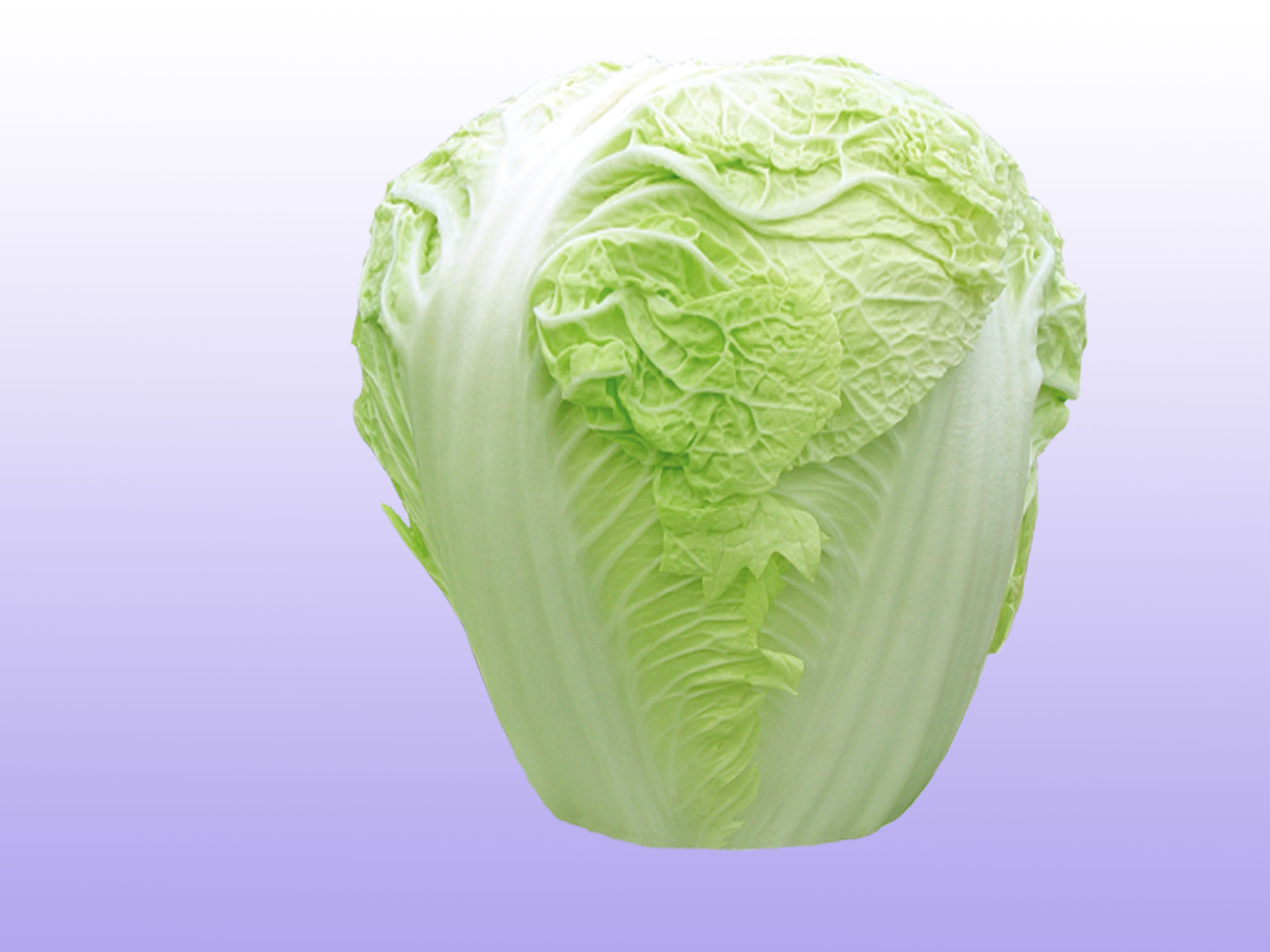 新中78