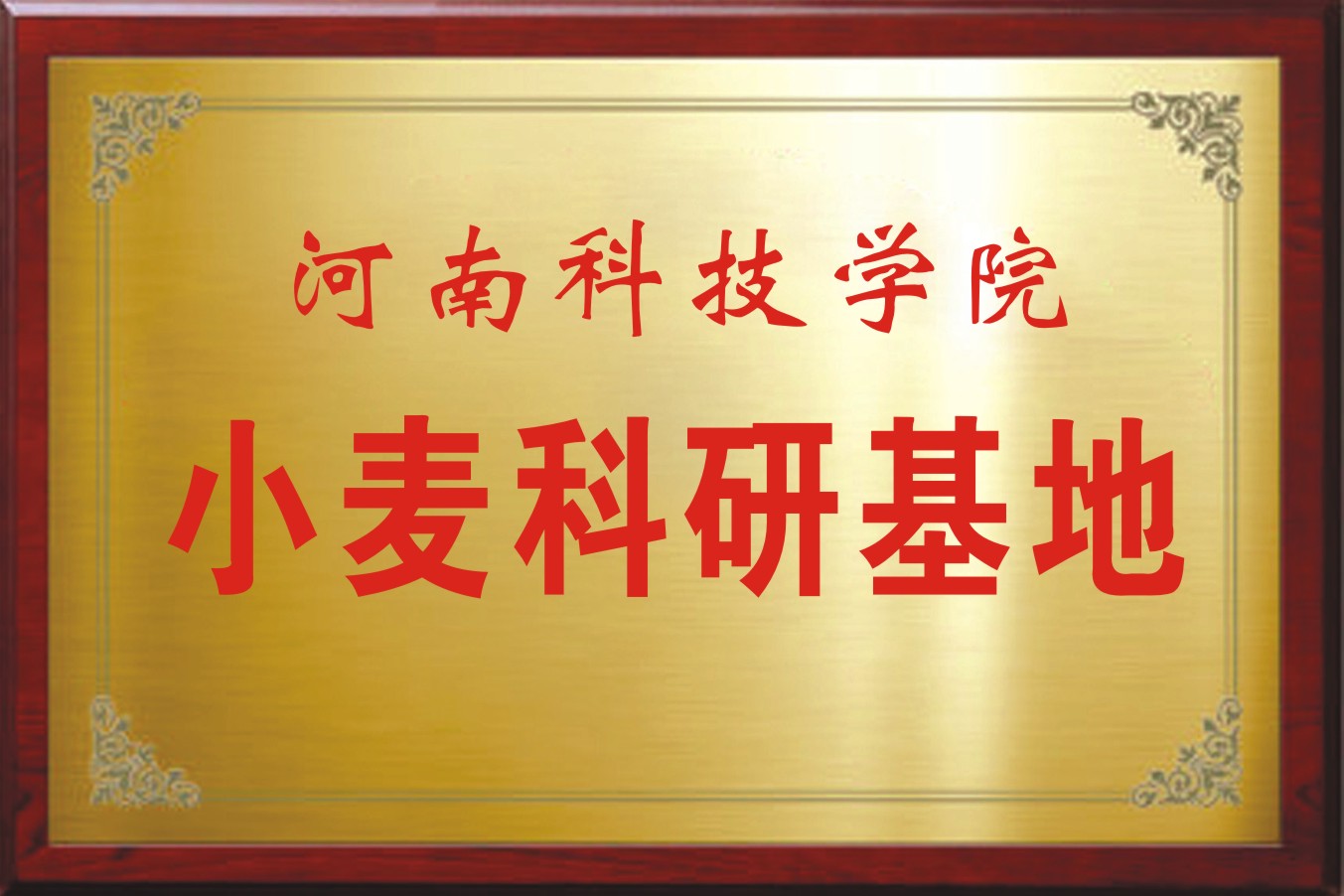 河南科学院小麦科研基地