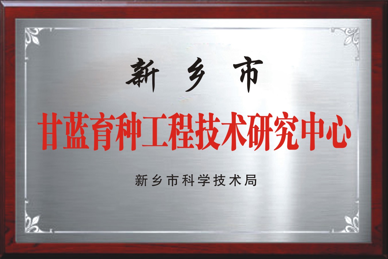 新乡市甘蓝育种工程技术研究中心