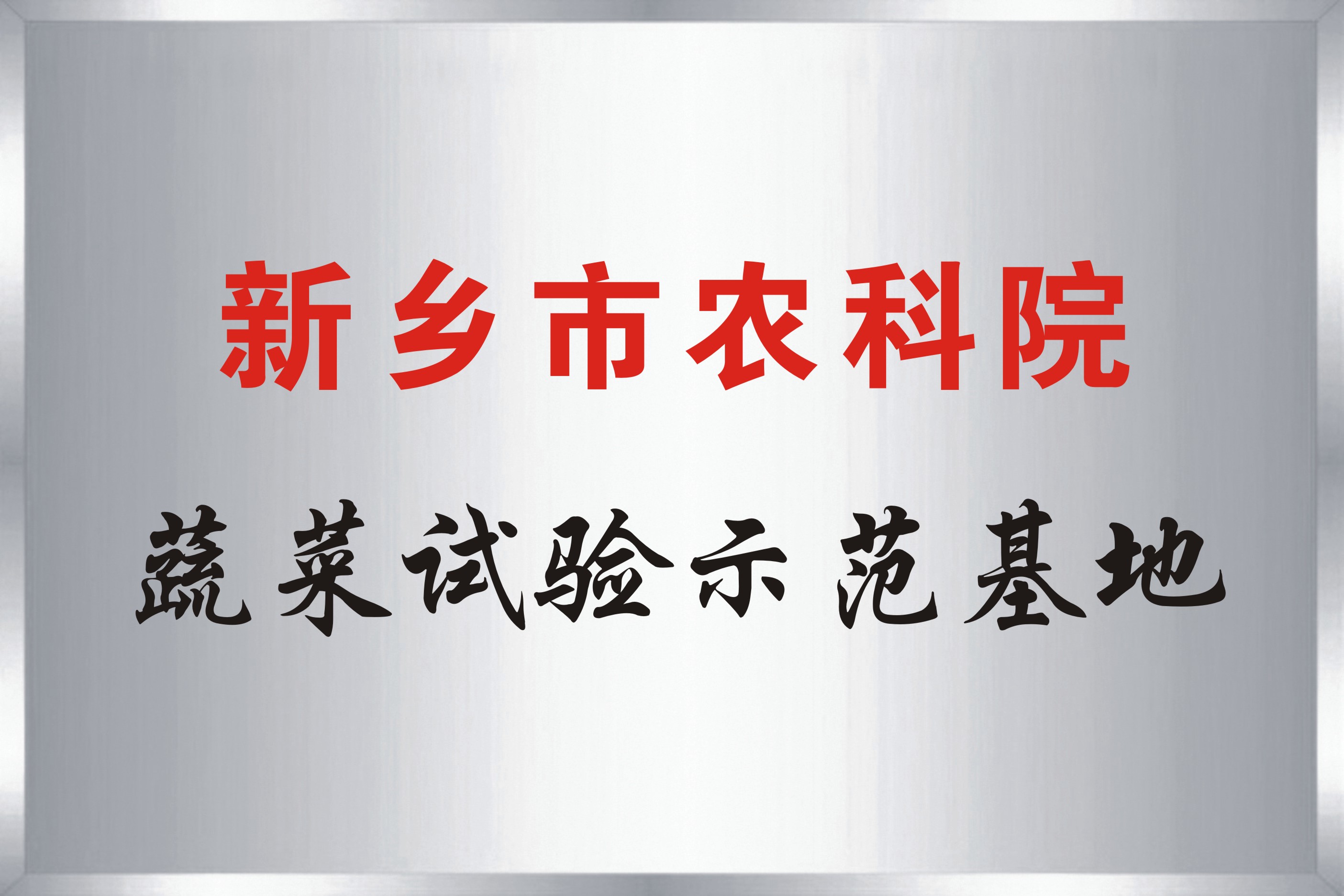 新乡市农科院蔬菜试验示范基地