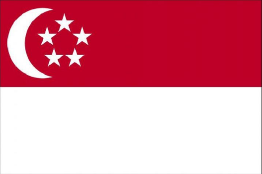 新加坡公司的税收制度简单，税率低，对华友好，政治稳定