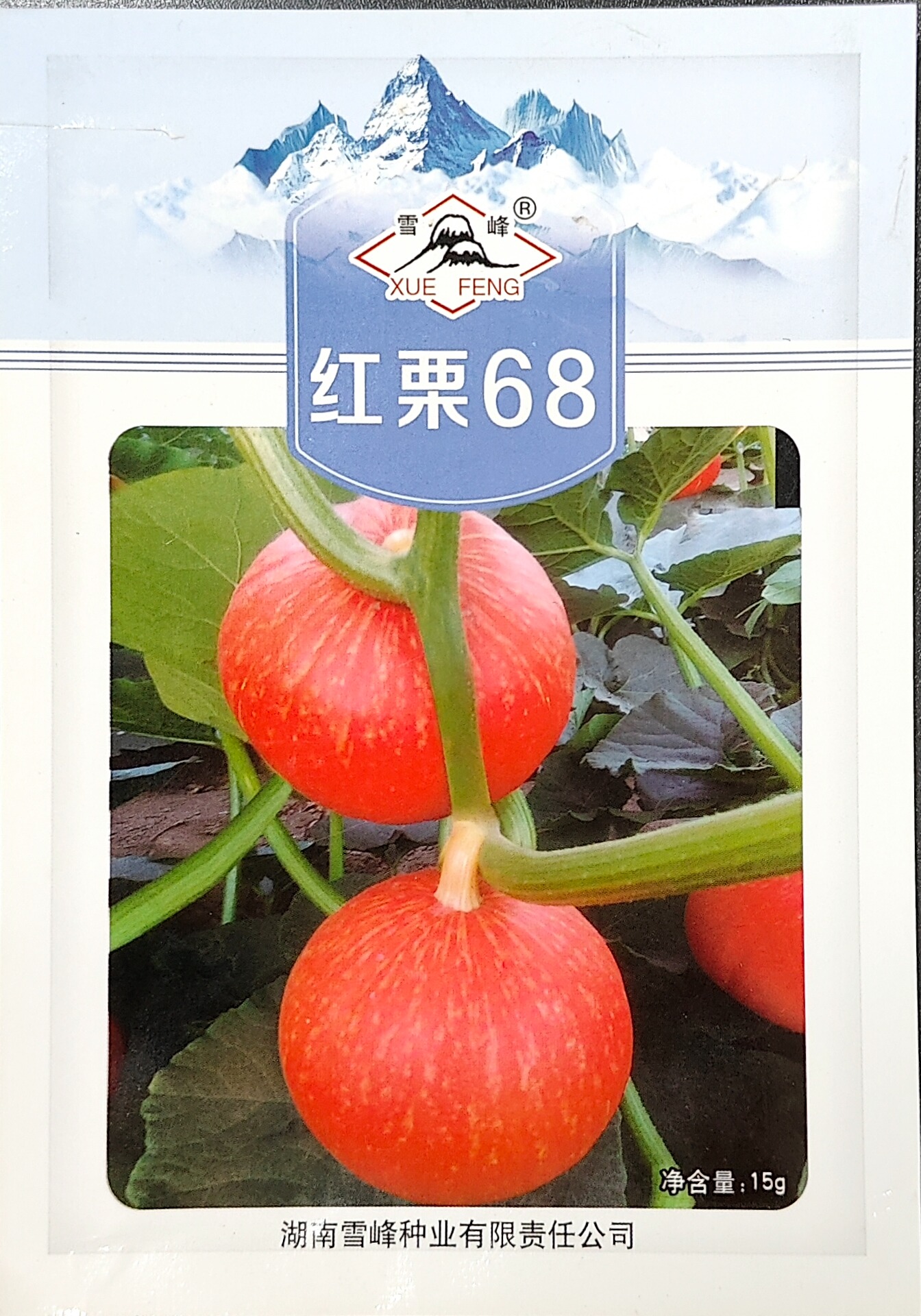 紅栗68