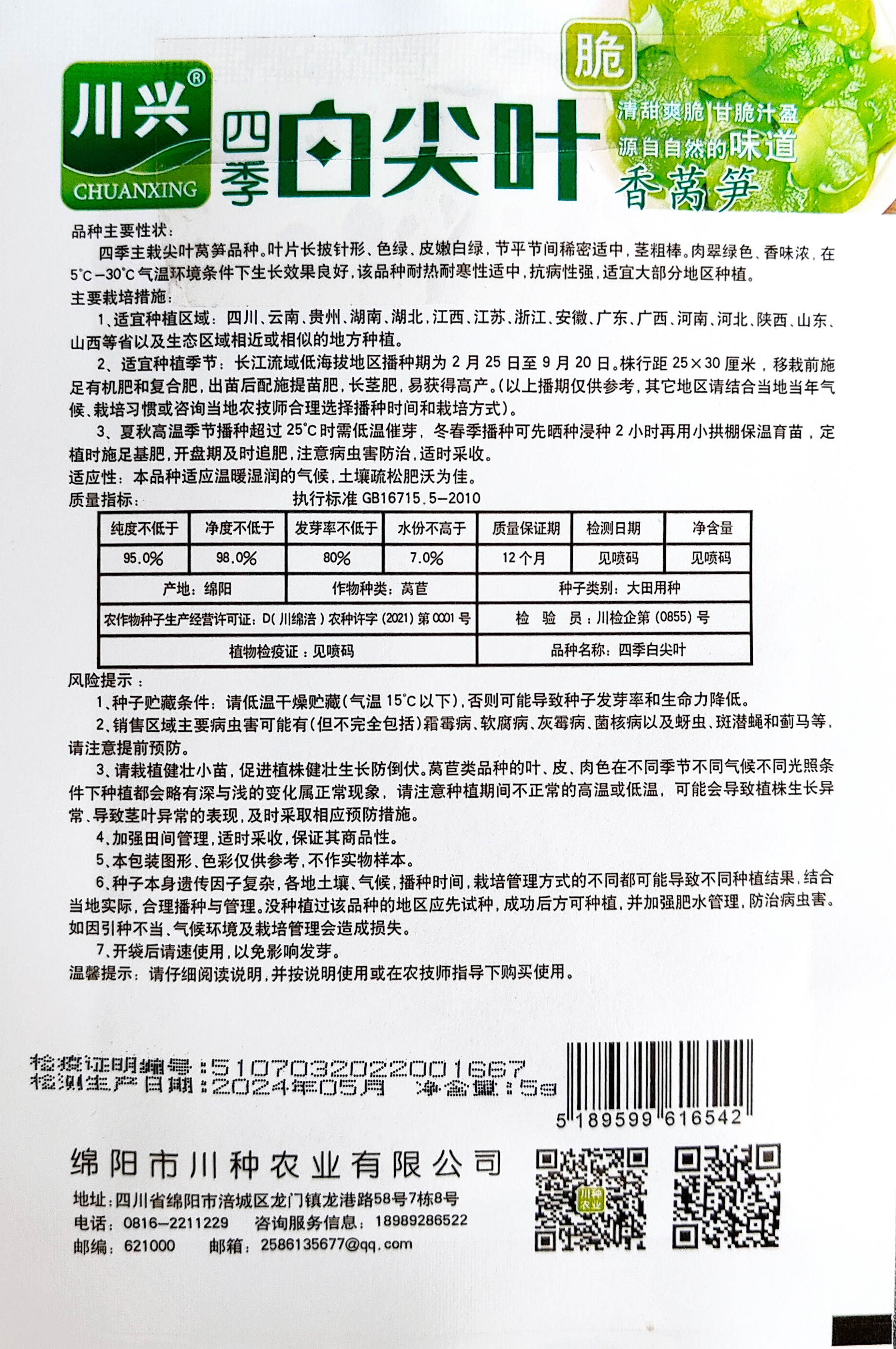 四季白尖葉香萵筍