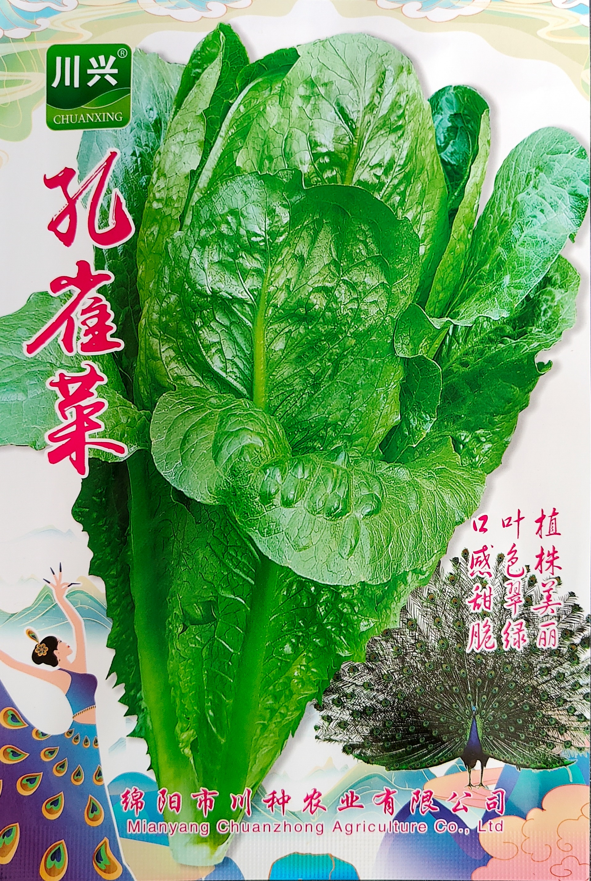 孔雀菜