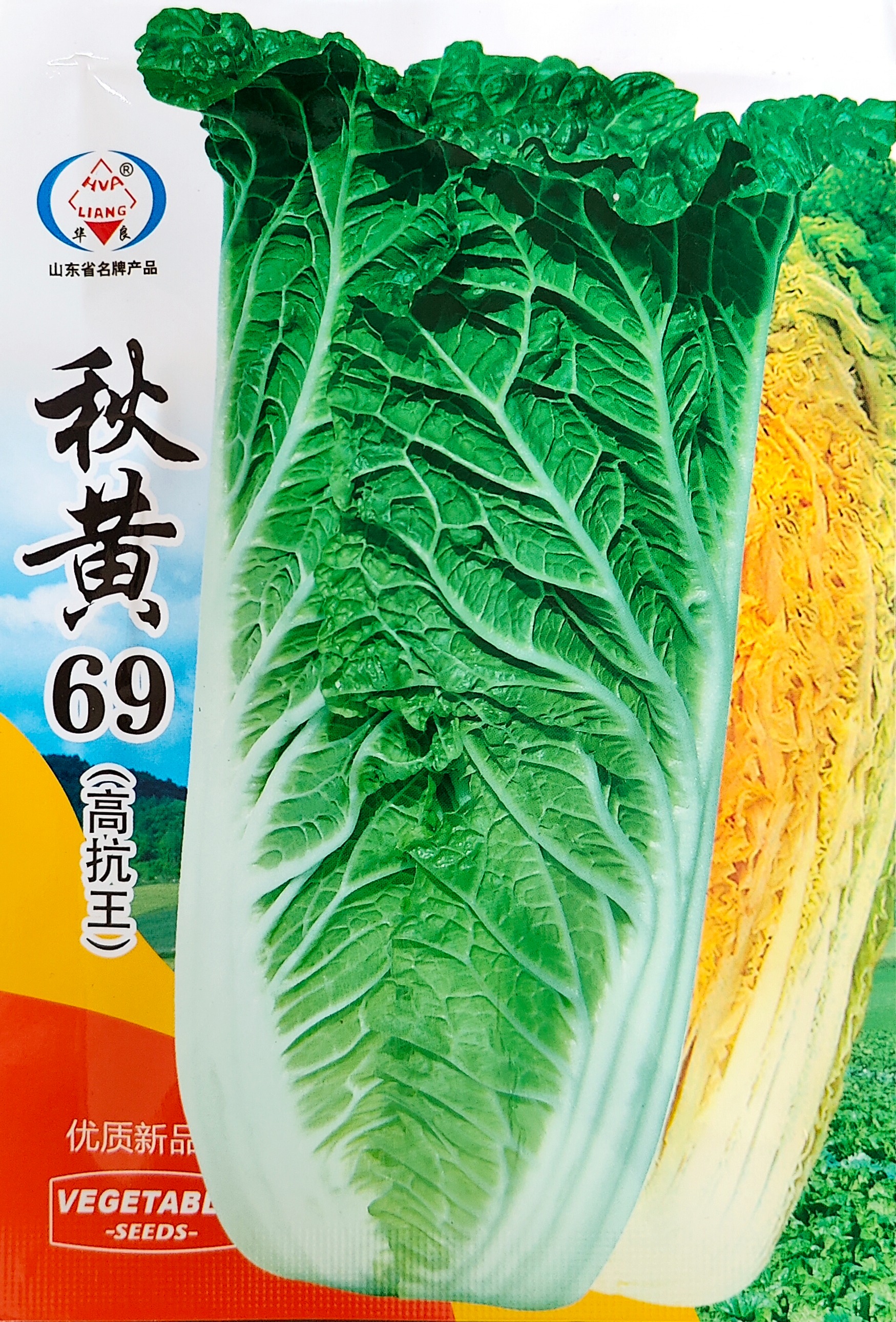 秋黃69（高抗王）