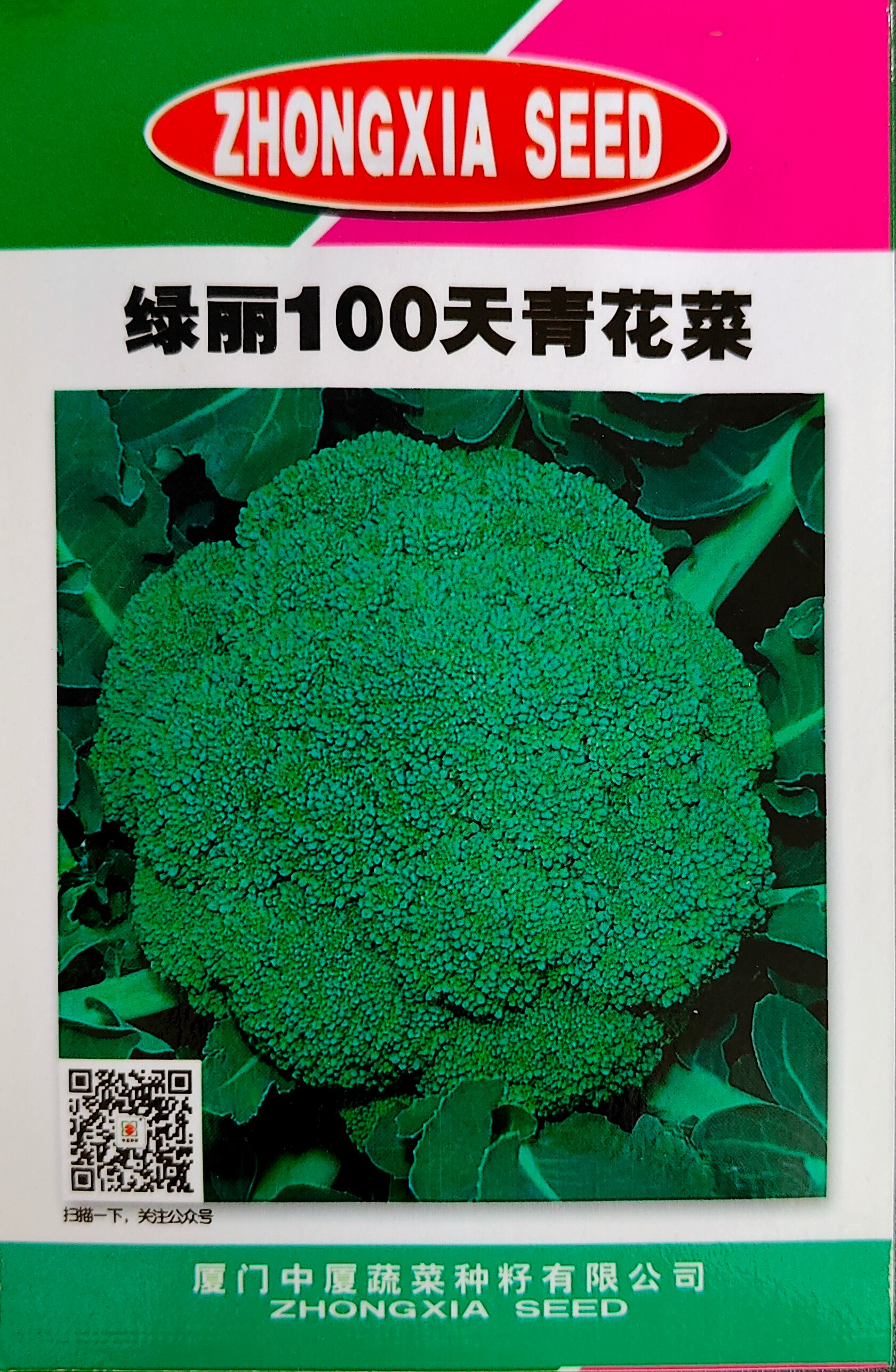 綠麗100天青花菜