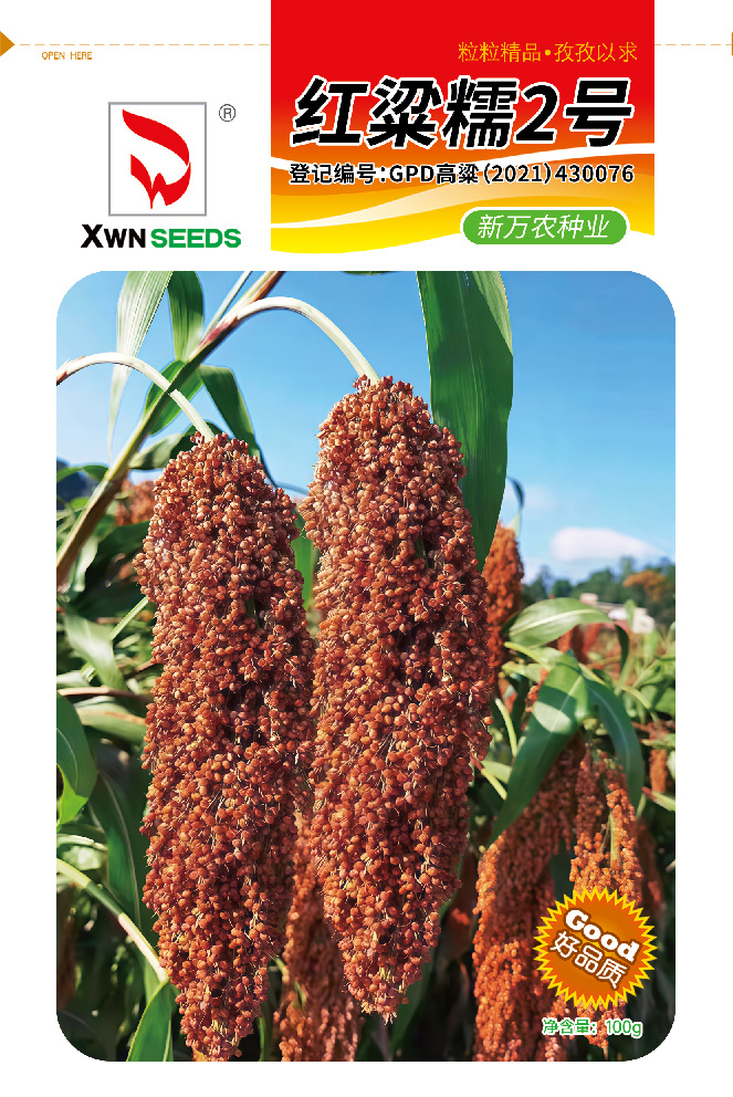 红梁糯2号