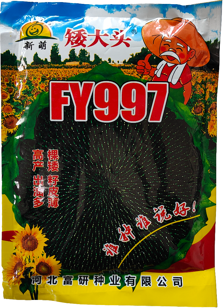 FY997矮大頭油葵