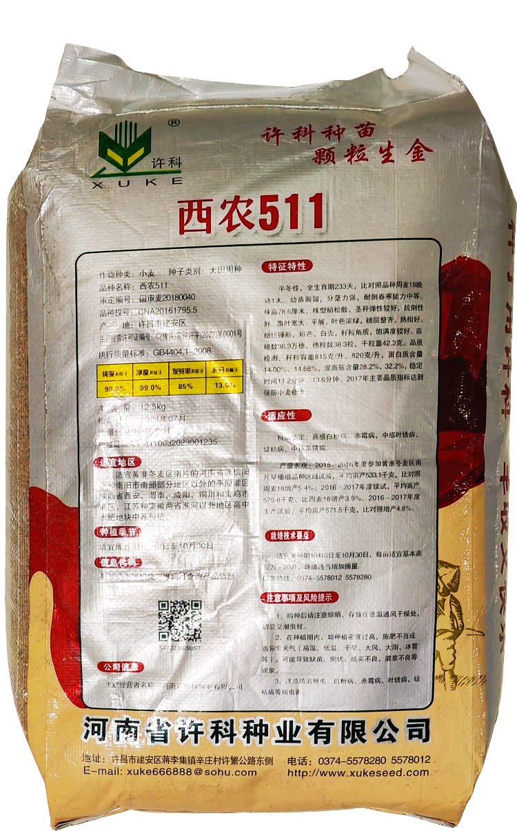 西農(nóng)511小麥