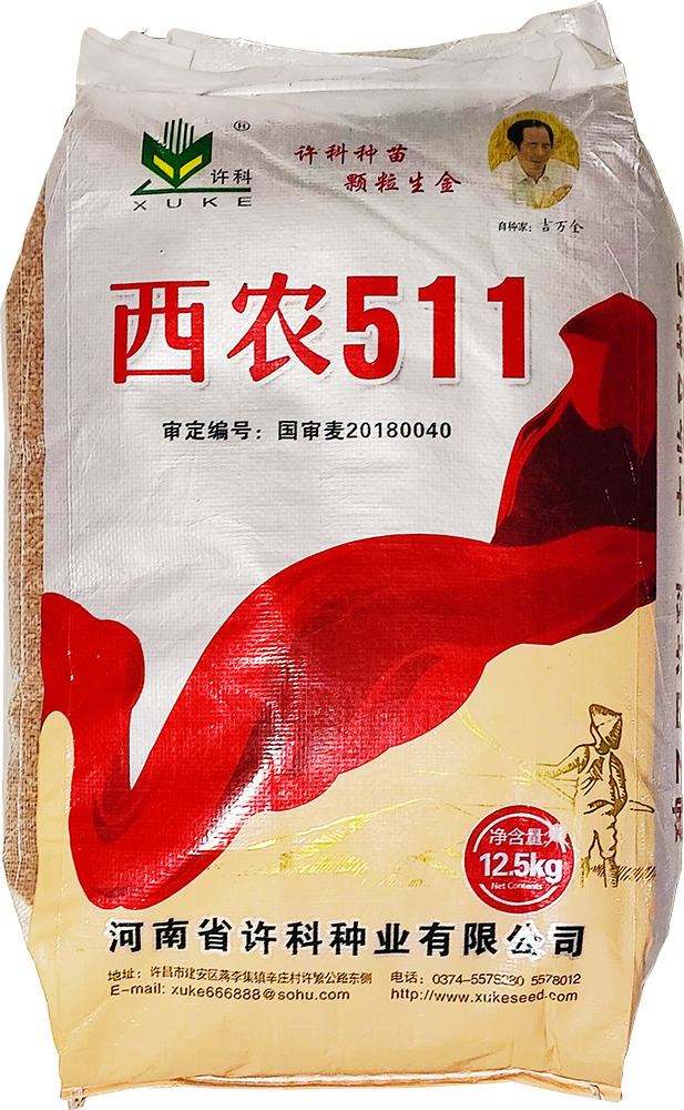 西農(nóng)511小麥