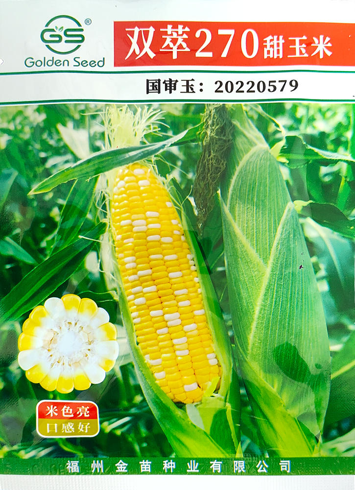 雙萃270甜玉米