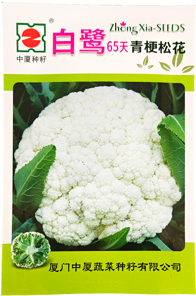 白鷺65天青梗松花