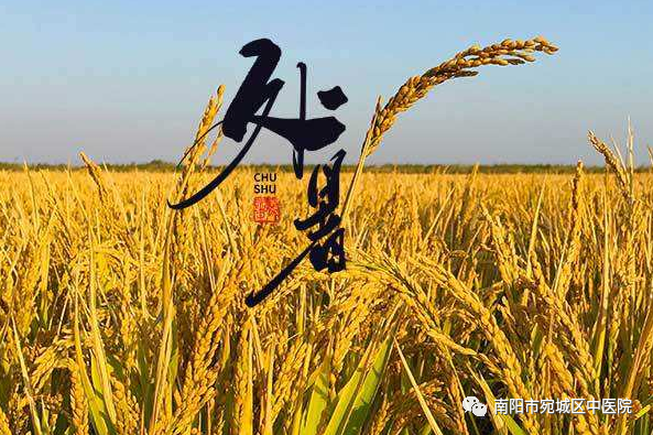 圖片5