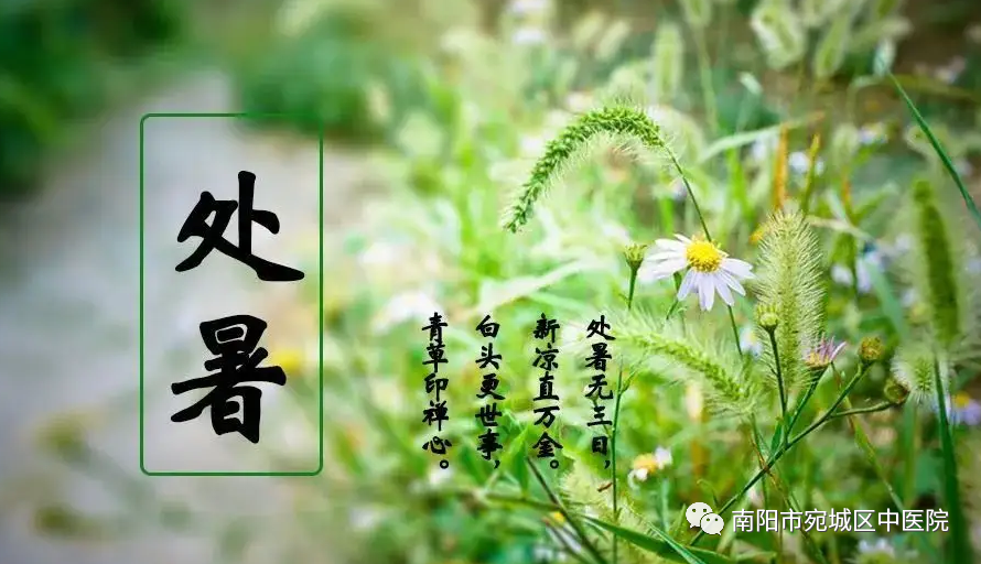圖片2