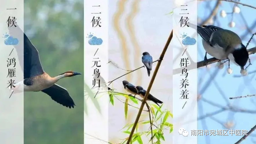 圖片3